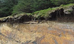A Pennsylvania cliff, illustrating a cross section of the Critical Zone with trees, soil, and bedrock.